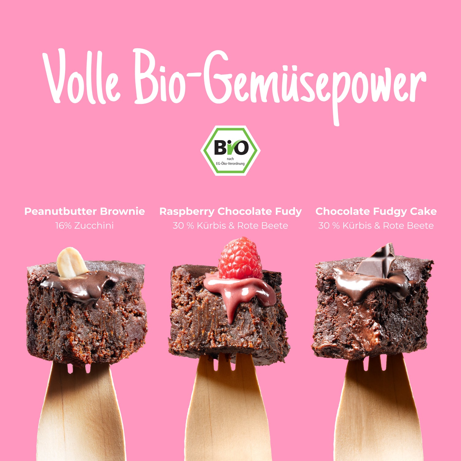 6er Kuchen Probier Box