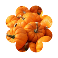 Kürbis