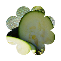 Zucchini